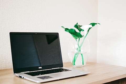 srebro, czarny, dell laptop, oprócz, biały, calla lily, jasny, Szklana waza, brązowy, drewniany, biurko, współczesny, Dell, urządzenie, elektronika, klawiatura, laptop, nowoczesny, przenośny, ekran, technologia, komputer, stół, technologia bezprzewodowa, wewnątrz, roślina, liść, zielony kolor, część rośliny, wzrost, Natura, roślina doniczkowa, wazon, żadnych ludzi, połączenie, meble, biznes, roślina domowa, 5K, CC0, domena publiczna, darmowe zdjęcia