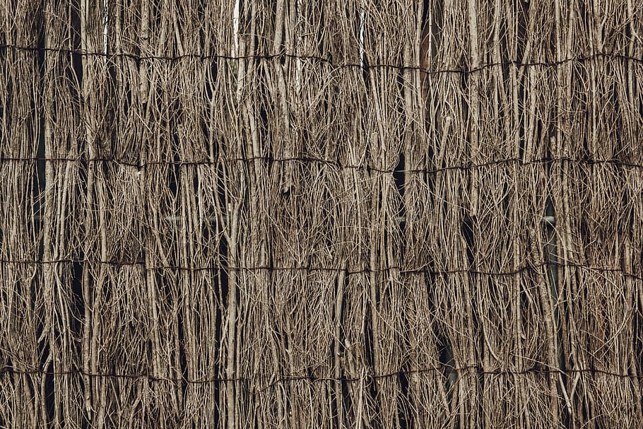 legna, struttura, sfondo, parete, recinto, pannello, partizione, separazione, giardino, natura, sfondi, strutturato, fotogramma intero, legno - materiale, modello, nessuno, Marrone, ruvido, venatura del legno, vecchio, pavimentazione, avvicinamento, albero, tavola, giorno, in casa, legname, effetto strutturato, 5K