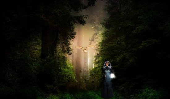 fantasia, foresta, luce, alberi, misterioso, fiaba, femmina, gufo, lucciola, lanterna, comporre, albero, pianta, in piedi, terra, una persona, natura, la tranquillità, adulto, bellezza nella natura, giovane adulto, persone reali, all'aperto, tre quarti, lunghezza intera, stili di vita, donne, scena tranquilla, crescita, bosco, 2K, CC0, dominio pubblico, privo di copyright