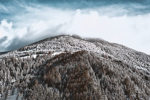 snødekt, fjell, skog, skyer, kald, dagslys, miljø, høy vinkel skudd, høyde, is, landskap, fjelltopp, scenisk, syn, snø, vinter, sky - himmel, himmel, skjønnhet i naturen, naturskjønnhet - natur, kaldtemperatur, ingen folk, ro, rolig scene, natur, ikke-urbane scene, dag, anlegg, land, lav vinkel visning, utendørs, snødekte fjell, 5K, CC0, offentlig domene, opphavsrett gratis