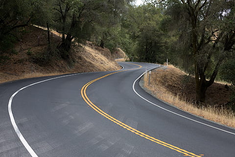 la carretera, ruta, camino, devanado, construcción, árbol, bosque, transporte, firmar, curva, símbolo, señalización vial, dirección, el camino a seguir, calificación, planta, naturaleza, nadie, carretera vacía, día, tierra, camino sinuoso, al aire libre, doble linea amarilla, calle, línea divisoria, 1080P, CC0, dominio público, libre de derechos