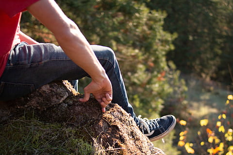 klif, model-, beklimming, bomen, berg-, quary, esthetisch uitzicht, uitzicht, hoogte, een persoon, echte mensen, land-, natuur, menselijk lichaamsdeel, dag, vrijetijdsbesteding, levensstijlen, focus op de voorgrond, Bos, boom, fabriek, rots, buitenshuis, lage sectie, solide, rock - object, casual kleding, avontuur, jeans, 4K, CC0, publiek domein, royaltyvrij