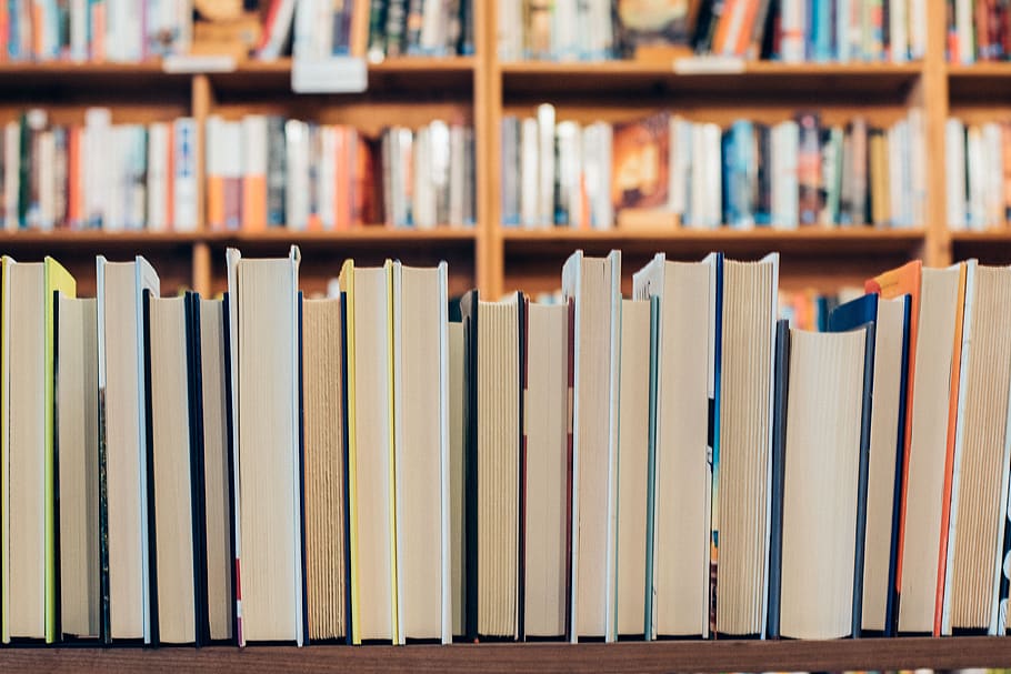 knih, znalost, škola, knihovna, vzdělání, regál, police, rezervovat, vydání, velká skupina objektů, v řadě, literatura, nikdo, uvnitř, objednat, uspořádání, pozadí, variace, bok po boku, hojnost, celý rám, výběr, podnikání, vázaná kniha, 4K