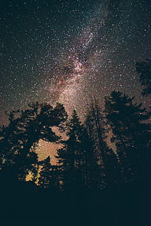 kosmický pohled, nebe, strom, hvězda, dlouhé expozice, astrofotografie, galaxie, mléčná dráha, silueta, noc, večer, les, Příroda, venku, wanderlust, prozkoumat, cestovat, dobrodružství, náladový, californium, hvězda - prostor, astronomie, souhvězdí, mlhovina, prostor, temný, tvar hvězdy, krajina, pozadí, Věda, planeta - prostor, Černá barva, hora, hvězdné pole, scén, houston astros, modrý, světlo - přírodní jev, lesklý, krása v přírodě, meteor, 5K, CC0, veřejná doména, bez autorských práv