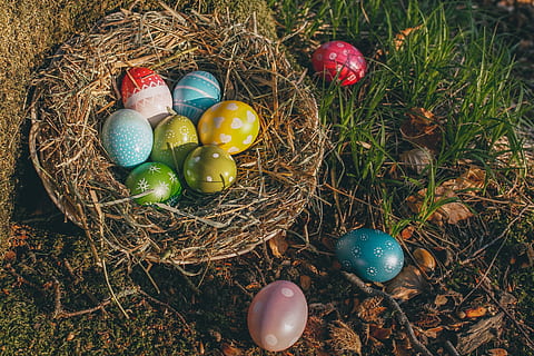 Ostern, Ostereier, Ei, bunt, farbig, Farbe, Frühling, Osterthema, osterkorb, Grußkarte, Korb, Osternest, Ostergruß, Zoll, Tradition, Wald, Wiese, osterkarte, Osterdekoration, Ostergrüße, Osterei, Urlaub, Feier, Lebensmittel, High Angle View, mehrfarbig, Dekoration, Natur, Essen und Trinken, Ferienveranstaltung, Religion, keine Leute, Pflanze, Stillleben, Weihnachtsverzierung, 5K, CC0, gemeinfrei, lizenzfrei