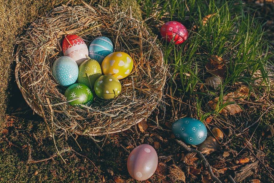 Pasqua, ous de Pasqua, ou, colorit, de colors, color, primavera, tema de pasqua, osterkorb, targeta de felicitació, cistella, niu de Pasqua, salutació de pasqua, costums, tradició, bosc, prat, osterkarte, decoració de pasqua, salutacions de pasqua, ou de Pasqua, festa, celebració, menjar, vista d’angle alt, multicolor, decoració, naturalesa, menjar i beguda, vacances - esdeveniment, religió, cap gent, planta, natura morta, adorn de Nadal, 5K