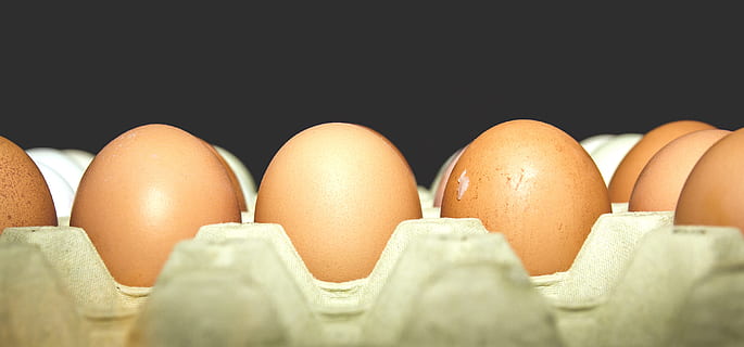 fresh eggs, easter, egg, eggs, fresh, fresh egg, ingredient, ingredients, food, food and drink, wellbeing, healthy eating, no people, studio shot, freshness, indoors, in a row, close-up, black background, egg carton, white color, order, still life, medium group of objects, group of objects, simplicity, 2K