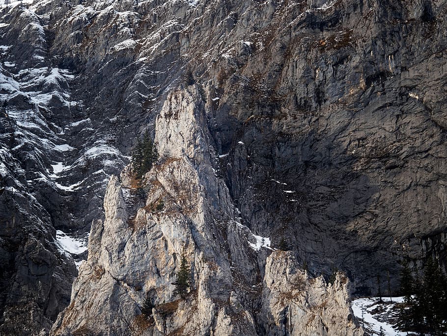 grå stenformation, natur, bjerg, udendørs, klint, is, sne, bjergkæde, spids, klippe, hældning, landskab, plante, træ, gletscher, østrig, Alperne, gran, abies, ødemark, rock-objekt, ingen mennesker, skønhed i naturen, solid, dag, tekstureret, geologi, rock formation, baggrunde, ikke-urbane scene, jord, kold temperatur, ru, fuld ramme, eroderet, formation, 4K