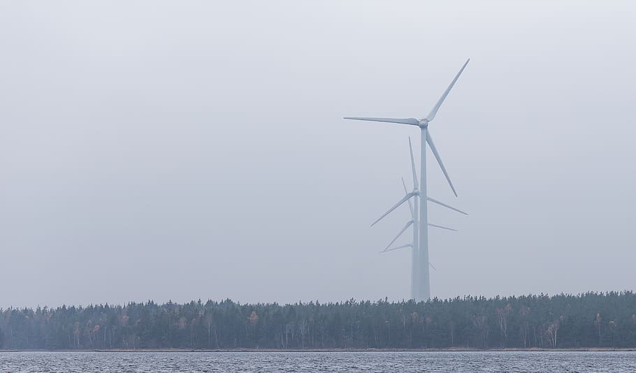 vent, molí de vent, arbres, planta, naturalesa, mar, aigua, horitzó, cel, aerogenerador, generació de combustible i energia, energia eòlica, medi ambient, turbina, energia renovable, conservació del medi ambient, energia alternativa, bellesa a la natura, dia, escenics - natura, arbre, llac, paisatge, cap gent, a l'aire lliure, recursos sostenibles, poder a la natura, Font d'alimentació, 4K