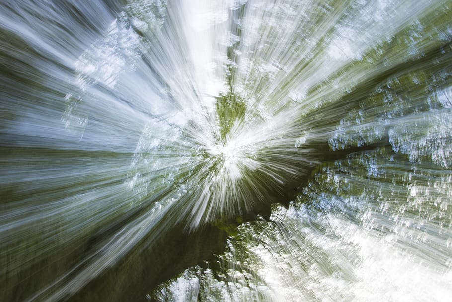 albero, luce, lightbeam, movimento, ombra, dinamico, radiazione, fascio, splendere, foglia, le foglie, luce e ombra, ramo, nessuno, pianta, all'aperto, natura, astratto, sfondi, avvicinamento, bellezza nella natura, acqua, giorno, fotogramma intero, crescita, movimento sfocato, colore verde, terra, freschezza, foresta, 5K