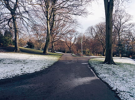 деревья, дорожка, путь, снег, мороз, небо, облака, зима, Nottingham, дерево, завод, путь вперед, голое дерево, направление, Дорога, природа, хобот, парк, нет людей, ствол дерева, транспорт, день, парк - искусственное пространство, ветка, тропинка, спокойствие, убывающая перспектива, спокойная сцена, точка схода, на открытом воздухе, treelined, уровень поверхности, 2K, CC0, общественное достояние, роялти бесплатно