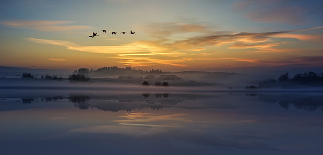 apus de soare, nori, cer, vedere, păsări, animal, zbor, natură, stol de păsări, pasari calatoare, apă, frumusețe în natură, reflecţie, animale tematice, nor - cer, scenice - natura, animale vertebrate, pasăre, culoare portocalie, animale în sălbăticie, malul mării, liniște, o scenă liniștită, siluetă, lac, nici o persoana, în aer liber, 5K, CC0, domeniu public, fără drepturi de autor