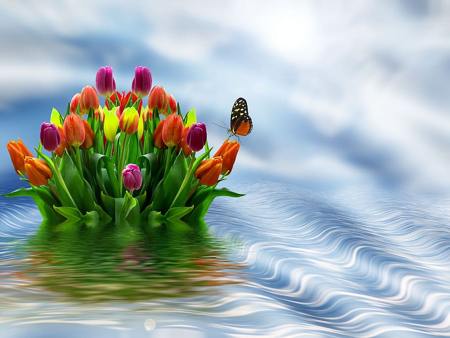 flowers, tulips, spring, reflection, colors, colorful, water, clouds, nature, flowering plant, flower, plant, beauty in nature, freshness, vulnerability, fragility, tulip, flower head, petal, no people, inflorescence, multi colored, close-up, lake, outdoors, cloud - sky, springtime, flower arrangement, bouquet, bunch of flowers, 4K