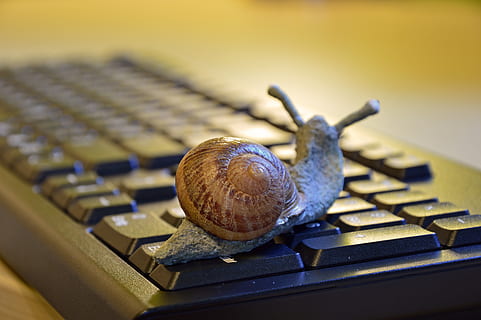 hlemýžď, shell, postava, klávesnice, pomalu, entschleunigung, kancelář, pracoviště, symbol, důležitost, metafora, fantazie, tvořivost, technologie, detail, zvířat, plži, měkkýš, zvíře, nikdo, zaměřit se na popředí, zvířecí shell, jednoho zvířete, zvířata ve volné přírodě, uvnitř, kov, bezobratlý, Příroda, den, selektivní zaměření, dřevo - materiál, 5K, CC0, veřejná doména, bez autorských práv