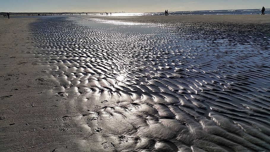 playa, reflexión, puesta de sol, crepúsculo, mar, Países Bajos, tierra, agua, arena, tranquilidad, naturaleza, belleza en la naturaleza, modelo, escena tranquila, paisajes - naturaleza, cielo, mojado, día, luz del sol, patrón natural, idílico, escena no urbana, al aire libre, nadie, nivel de la superficie, marea baja, 2K