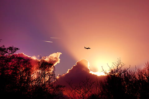 céu, por do sol, raios solares, avião, silhueta, arvores, silhuetas de árvores, céus flamejantes, céu do sol, laranja, roxa, leve, nuvens, transparente, vôo, scenics - natureza, natureza, nuvem - céu, beleza na natureza, pássaro, veículo aéreo, animais selvagens, ninguém, temas animais, animais em estado selvagem, transporte, animal, Dom, vertebrado, modo de transporte, ao ar livre, 4K, CC0, domínio público, royalty free