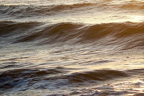 oceano, onda, agua, mar, surfe, beleza na natureza, movimento, esporte aquático, esporte, de praia, natureza, terra, dia, scenics - natureza, ao ar livre, quadro completo, origens, poder, poder na natureza, água corrente, 2K, CC0, domínio público, royalty free