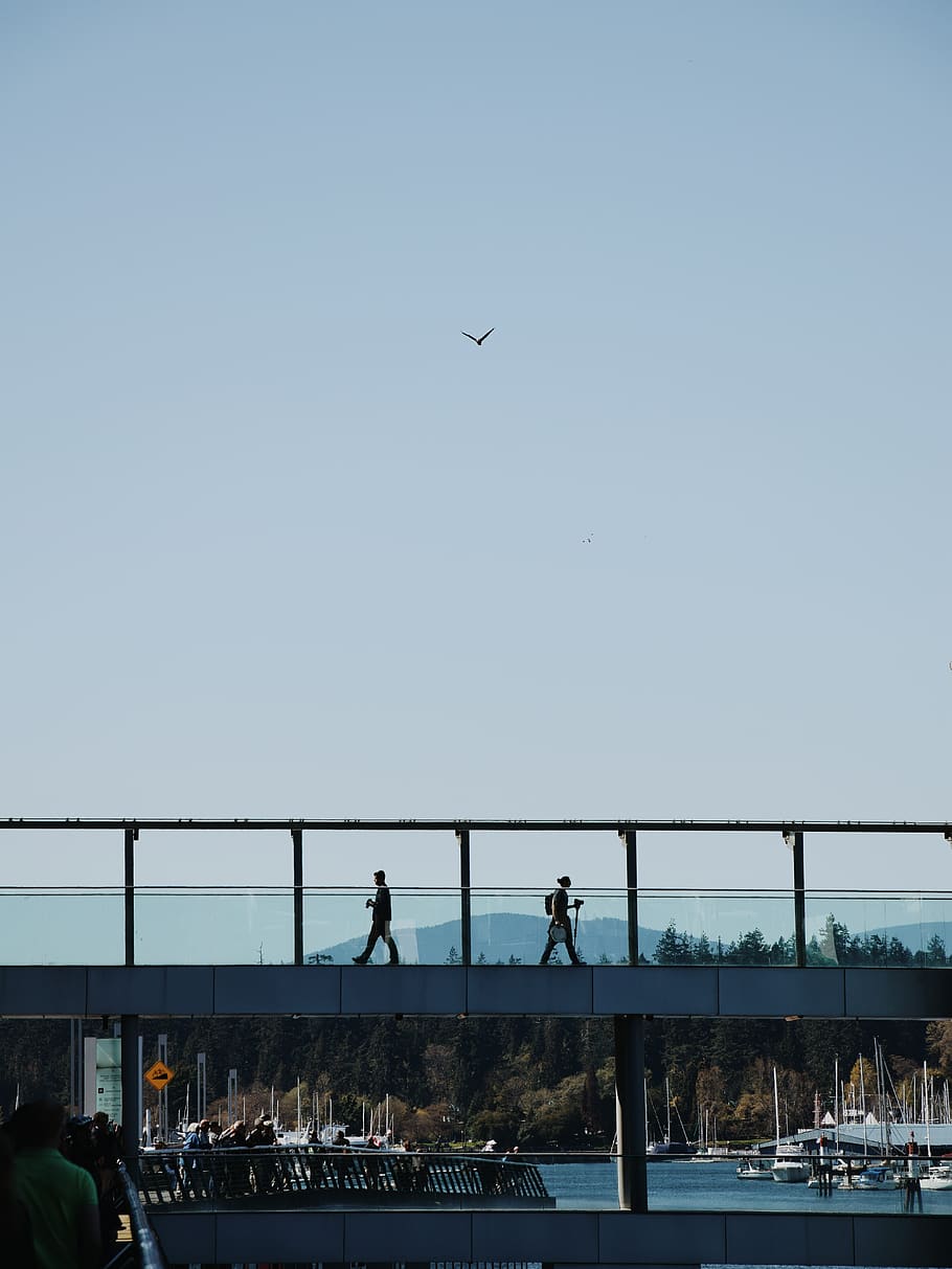 dos, gent, caminar, pont, persona, humà, Vancouver, Canadà, animal, ocell, barana, arquitectura, edifici, torre, aventura, activitats de lleure, paisatge, muntanya, passerelle, carrers, ciutat, carrer, cel, volant, cel clar, animals a la natura, vertebrats, naturalesa, transport, còpia espai, aigua, fauna animal, grup d’animals, persones reals, temes d'animals, grup de persones, estructura construïda, connexió, pont - estructura feta per l'home, a l'aire lliure, 5K