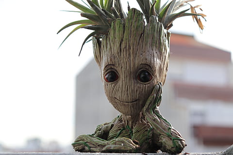 groot, planta, arbre, fantasia, joia, representació, centrar-se en primer pla, creativitat, primer pla, cap gent, dia, naturalesa, escultura, art i artesania, retrat, estàtua, a l'aire lliure, color verd, mirant la càmera, 5K, CC0, domini públic, lliure de regalies
