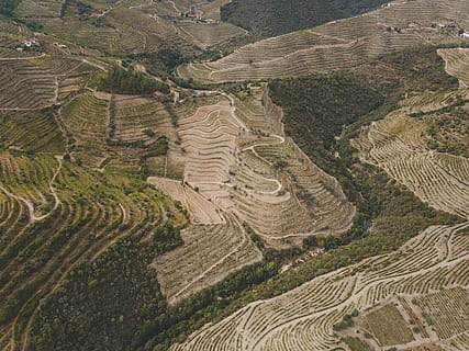 fleuve douro, paysage, environnement, agriculture, scène rurale, paysages - nature, ferme, terre, scène tranquille, vue aérienne, tranquillité, vue grand angle, champ, beauté dans la nature, journée, terrain en terrasse, terrasse, la nature, personne, modèle, croissance, en plein air, 4K, CC0, domaine public, libre de droits