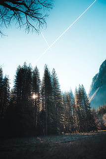 pins, arbre, bosc, explorar, cel, muntanya, viatjar, paisatge, wanderlust, naturalesa, fons de pantalla, a l'aire lliure, foto, núvol, caminada, yosemite, escenics, bellesa a la natura, llum solar, hivern, temporada, estiu, blau, neu, sol, boira, al matí, cap gent, escena tranquil·la, escena rural, cim de muntanya, tardor, escena no urbana, dia, medi ambient, posta de sol, pi, color verd, Alps europeus, avet, Serra, llum - fenomen natural, raig de sol, sortida del sol - alba, fred - temperatura, turó, 5K, CC0, domini públic, lliure de regalies