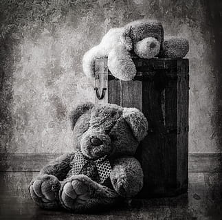 peluche, velho, ted, objeto, figura, estátua, recheado, brinquedo, Urso, grunge, suja, textura, urso Teddy, brinquedo de pelúcia, representação, representação animal, ninguém, dentro de casa, suavidade, sentado, ainda vida, madeira - material, filtro de pós-produção automática, recurso de construção de parede, dia, abandonado, animal de brinquedo, ausência, arte e Artesanato, 1080P, CC0, domínio público, royalty free