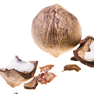 kokosnød, kokosnødder, coco, cocos, cocoz, hvid, frugt, baggrund, træ, tæt på, isolerede, vegetarisk, behåret, naturlig, sjovt, lækker, tropisk, kost, Brun, blad, subtropisk, objekt, velsmagende, sund og rask, vitamin, plante, trope, mad, nød, hvid baggrund, studio skud, mad og drikke, stilleben, ingen mennesker, friskhed, indendørs, velvære, sund kost, skåret ud, tør, gruppe af objekter, grøntsag, kopiere plads, enkelt objekt, 720P, CC0, offentligt domæne, royaltyfrie