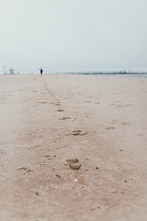 sable de la mer, le sable, en plein air, la nature, Humain, la personne, empreinte, plage, sol, fuir, empreintes de pas, chemin, sable humide, mer, côte, eau, océan, littoral, dune, en marchant, terre, ciel, tranquillité, beauté dans la nature, journée, paysages - nature, scène tranquille, personne, horizon, idyllique, scène non urbaine, ciel clair, mise au point sélective, 5K, CC0, domaine public, libre de droits