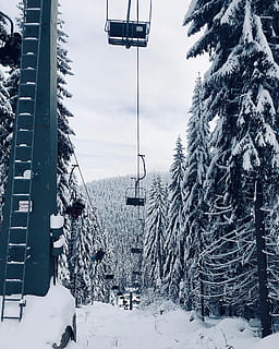 kabel vogn, træer, sne, vinter, kold temperatur, træ, plante, natur, arkitektur, dag, svævebane, bygning udvendig, skønhed i naturen, transportmidler, skilift, bygget struktur, himmel, dækker, transportform, overhead svævebane, ingen mennesker, udendørs, 2K, CC0, offentligt domæne, royaltyfrie