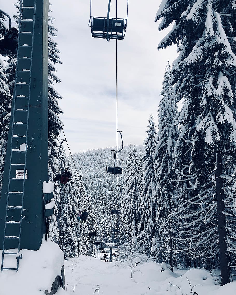 kabel vogn, træer, sne, vinter, kold temperatur, træ, plante, natur, arkitektur, dag, svævebane, bygning udvendig, skønhed i naturen, transportmidler, skilift, bygget struktur, himmel, dækker, transportform, overhead svævebane, ingen mennesker, udendørs, 2K