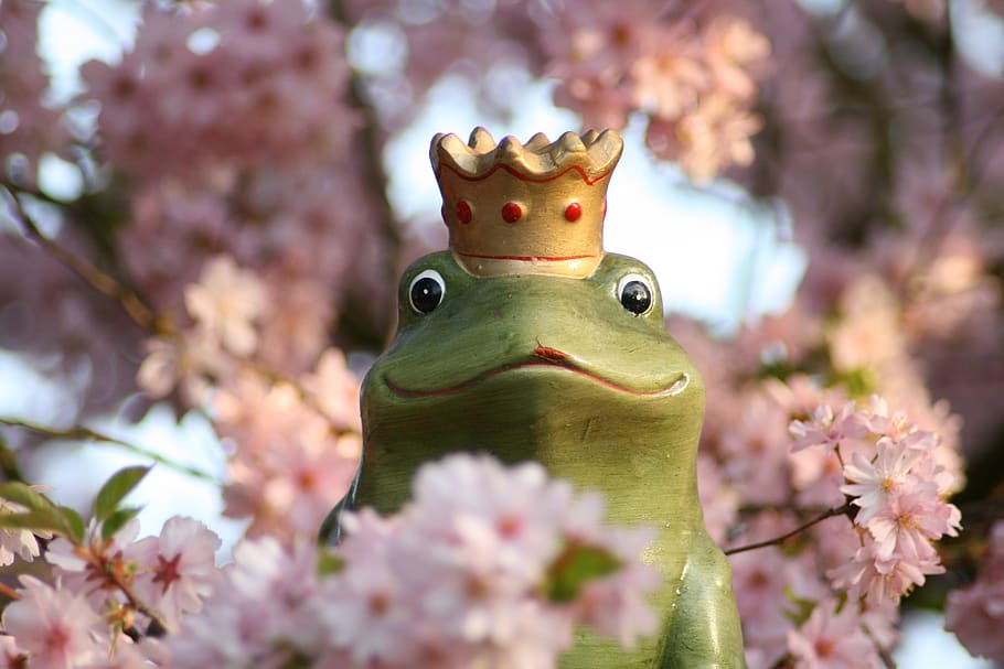 granota, flors, arbre, corona, prince prince, verd, petó, príncep, amor, flor de cirerer, planta, representació, representació animal, primer pla, art i artesania, planta amb flors, animal, cap gent, flor, naturalesa, figureta, centrar-se en primer pla, temes d'animals, dia, color rosa, creativitat, enfocament selectiu, artesania, escultura, fragilitat, primavera, 4K