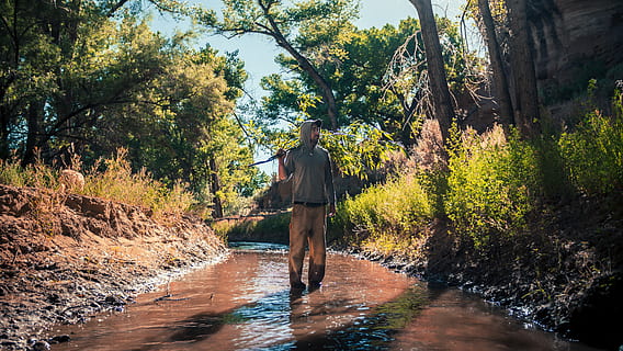 trees, model, wallpaper, desert, worker, adventurer, sand, water, lake, river, stream, forest, man, wanderer, tree, plant, one person, real people, rear view, leisure activity, full length, lifestyles, growth, nature, men, beauty in nature, day, standing, adult, scenics - nature, outdoors, flowing water, 5K, CC0, public domain, royalty free