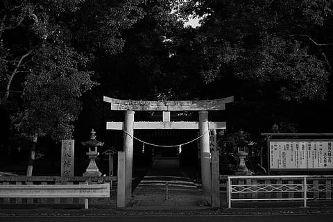 torii gate, træ, bygget struktur, arkitektur, plante, arkitektoniske kolonne, ingen mennesker, religion, natur, tro, bygning udvendig, historie, fortiden, udendørs, sted for tilbedelse, formelle have, Port, spiritualitet, dag, helligdom, 5K, CC0, offentligt domæne, royaltyfrie