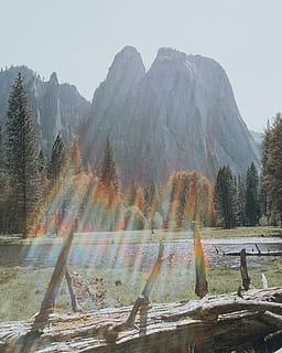 alberi accanto alla montagna, Yosemite, foresta, albero, fiume, ruscello, bagliore, sole, luce del sole, ceppo, roccia, sempreverde, abete, paesaggio, natura selvaggia, natura, luminosa, acqua, californio, Stati Uniti d'America, Parco Nazionale, montagna, Paesaggi, all'aperto, bellezza nella natura, lago, viaggio, roccia - oggetto, catena montuosa, nebbia, autunno, estate, punto di riferimento nazionale, turismo, bosco, riflessione, valle, cielo, colore verde, la neve, picco di montagna, nessuno, vacanze, ambiente, 4K, CC0, dominio pubblico, privo di copyright