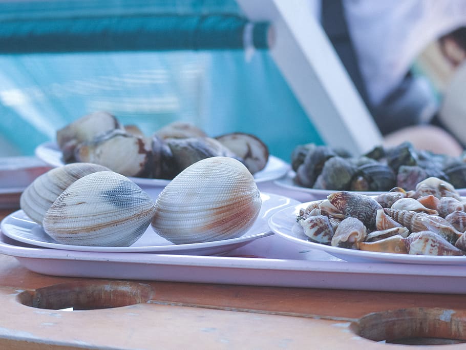 cargol, cargol del disc, alimentació, shell, cloïssa, marisc, el mar, menjar i beguda, menjar, frescor, benestar, alimentació saludable, centrar-se en primer pla, primer pla, gran grup d'objectes, a l'interior, elecció, natura morta, cap gent, variació, dia, vegetals, ceba, All, enfocament selectiu, ingredient, abundància, safata, 4K