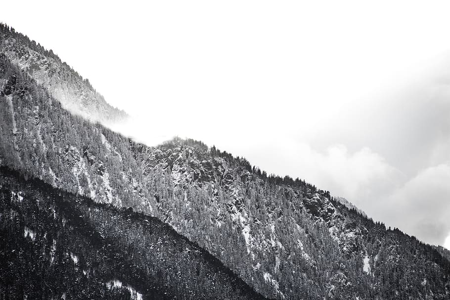 hivern, neu, arbres, bosc, turons, muntanyes, blanc i negre, paisatge, naturalesa, muntanya, cap gent, bellesa a la natura, cel, tranquil·litat, escena tranquil·la, dia, escenics - natura, vista d’angle baix, escena no urbana, núvol - cel, medi ambient, a l'aire lliure, temperatura de fred, planta, arbre, Serra, cim de muntanya, aigua que flueix, 2K