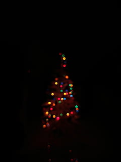 Kalėdų eglutė, styginių lemputės, medis, augalų, ornamentas, eglės, abies, tapetai, #natal #lights, šviesa, išvirtimas, apšvietimas, vadovaujama, kelias, takas, arecaceae, palmė, astronomija, modelį, fractal, siluetas, Kalėdos, apdaila, šviečia, šventė, Kalėdų papuošimas, kelių spalvų, Kalėdų žiburiai, nėra žmonių, naktis, kopijavimo vietos, Kalėdų ornamentas, patalpose, šventės renginys, tamsus, atostogų renginys, apšvietimo įranga, juodas fonas, 4K, CC0, Viešasis domenas, nemokamai