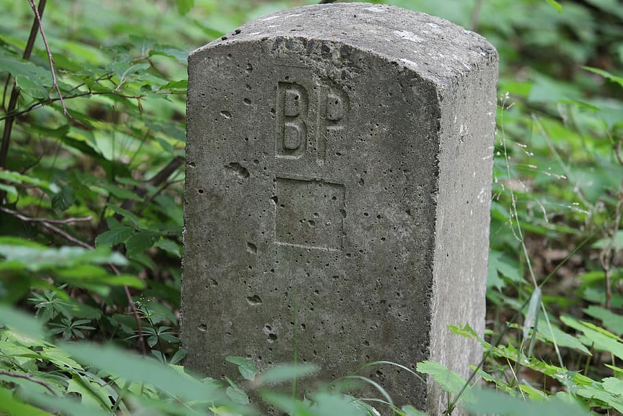 referència, senyal, pedra, frontera, bosc, límit de paqueteria, fita, pal senyal, creu, històricament, encantar la pedra, problemes de frontera, punt de pas de la frontera, límit de camp, gris, làpida, text, cap gent, dia, primer pla, tomba, material de pedra, sòlid, comunicació, planta, cementiri, naturalesa, centrar-se en primer pla, a l'aire lliure, memorial, guió occidental, el passat, història, concret, 4K