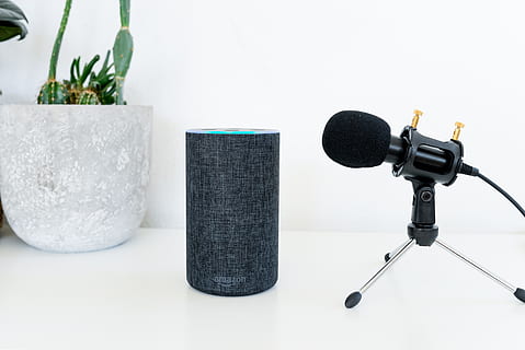 eco di amazon, dinamico, microfono, Home decor, dispositivo elettrico, biancheria, cilindro, elettronica, cuffie, cuffia, chitarra, chitarra elettrica, strumento musicale, attività ricreative, shaker, bottiglia, altoparlante audio, altoparlante, rubinetto del lavandino, pianta, lavanda, Radio, in casa, nessuno, girato in studio, pianta in vaso, natura morta, sfondo bianco, tavolo, avvicinamento, colore nero, copia spazio, natura, tecnologia, arte e artigianato, crescita, grigio, comunicazione, Colore bianco, creatività, caratteristica della parete, 5K, CC0, dominio pubblico, privo di copyright