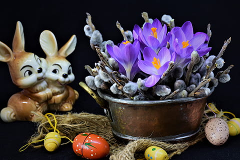 påske, påske tema, stilleben, krokus, palmeafdelinger, tidlig blomer, blomster, forårsvågne, natur, forår, lyse, æg, påskeæg, farverig, lilla, tæt på, flor, blomst, blomstrende plante, indendørs, studio skud, plante, ferie, dekoration, ingen mennesker, mad, repræsentation, sort baggrund, Kunst og håndværk, Påske hare, dyr repræsentation, 4K, CC0, offentligt domæne, royaltyfrie