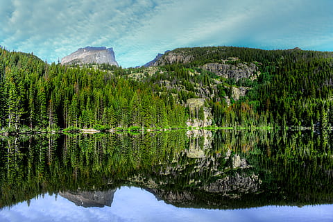 alberi di pino verde, natura, stati Uniti, Bear Lake Road, parco di estes, albero, montagna, picco, all'aperto, catena montuosa, conifera, flora, pianta, paesaggio, verde, vegetazione, foresta, terra, muschio, altopiano, cresta, acqua, riflessione, scenics - natura, lago, bellezza nella natura, la tranquillità, colore verde, scena tranquilla, cielo, nessuno, lungomare, crescita, giorno, nuvola - cielo, scena non urbana, Pino, albero di conifere, formazione, 5K, CC0, dominio pubblico, privo di copyright