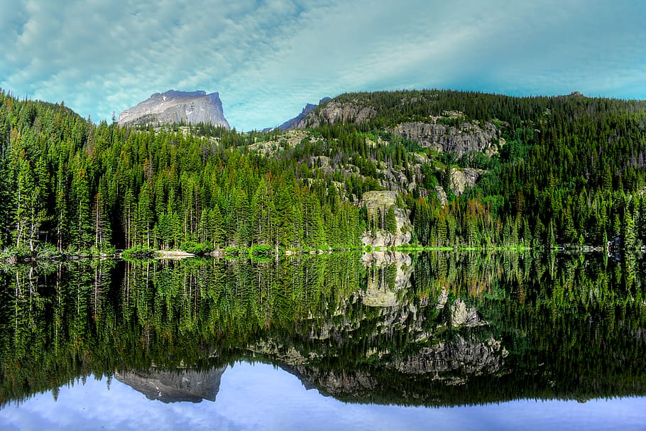 alberi di pino verde, natura, stati Uniti, Bear Lake Road, parco di estes, albero, montagna, picco, all'aperto, catena montuosa, conifera, flora, pianta, paesaggio, verde, vegetazione, foresta, terra, muschio, altopiano, cresta, acqua, riflessione, scenics - natura, lago, bellezza nella natura, la tranquillità, colore verde, scena tranquilla, cielo, nessuno, lungomare, crescita, giorno, nuvola - cielo, scena non urbana, Pino, albero di conifere, formazione, 5K