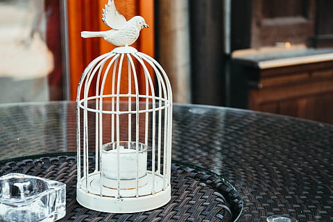 jaula de pájaros blanca, casa de aves, jaula, centrarse en primer plano, nadie, de cerca, adentro, mesa, día, modelo, metal, Arte y artesanía, comida y bebida, estructura construida, comida, naturaleza muerta, creencia, espiritualidad, enfoque selectivo, negocio, arquitectura, 5K, CC0, dominio público, libre de derechos