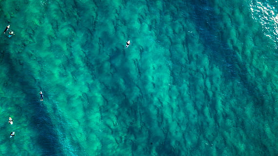 tèxtil verd, persona, aigua, oceà, mar, Austràlia, busseig, bussejador, humà, snorkel, esport, esports, platja de maroubra, navega, a l'aire lliure, taula de surf, onada, surf, animal, Escull de corall, naturalesa, color turquesa, vista d’angle alt, bellesa a la natura, dia, sota l'aigua, esport aquàtic, escenics - natura, vista aèria, nedar, submarí, moviment, tranquil·litat, terra, blau, marí, 4K, CC0, domini públic, lliure de regalies