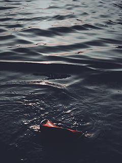 cos d'aigua, la llum del dia, durant el dia, flotant, objecte, oceà, escènic, mar, paisatge marí, aigua, onades, davant del mar, cap gent, naturalesa, dia, a l'aire lliure, vista d’angle alt, tranquil·litat, ondulat, bellesa a la natura, moviment, reflexió, nedar, llum solar, escenics - natura, terra, vermell, Pol · lució, 4K, CC0, domini públic, lliure de regalies