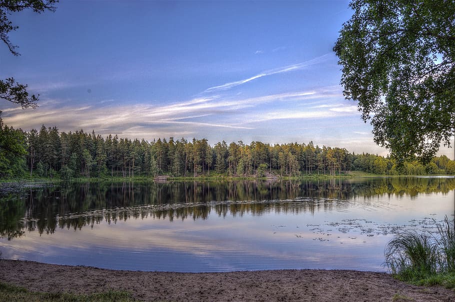 escènic, vista, riu, calma, núvols, la llum del dia, medi ambient, bosc, herba, idíl·lic, paisatge, naturalesa, pacífica, tranquil, reflexió, serè, cel, arbres, aigua, boscos, arbre, planta, escenics - natura, bellesa a la natura, escena tranquil·la, tranquil·litat, llac, núvol - cel, cap gent, escena no urbana, dia, creixement, terra, a l'aire lliure, llac de reflexió, 2K