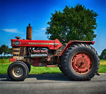 oldtimer, traktorer, traktor, mf, massey ferguson, 1150, landbrug, erhvervskøretøj, arbejdsmaskine, historisk, Landtechnik, slæbebåd, landbrugsmaskine, gammel, køretøj, gård, museumstykke, diesel, oldie, retro, frontplade, dyrkbar, transportmidler, plante, landbrugsmaskiner, træ, transportform, dag, landbrugsudstyr, natur, vej, land køretøj, hjul, himmel, sollys, maskineri, rød, jord, Mark, dæk, ingen mennesker, udendørs, 2K