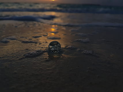 maldiverne, funadhoo, strand, sand, jord, vand, selektiv fokusering, ingen mennesker, natur, tæt på, hav, udendørs, solnedgang, våd, dag, skønhed i naturen, miljø, himmel, skal, bevægelse, dyr, overflade niveau, 4K, CC0, offentligt domæne, royaltyfrie