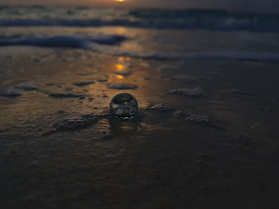 maldiverne, funadhoo, strand, sand, jord, vand, selektiv fokusering, ingen mennesker, natur, tæt på, hav, udendørs, solnedgang, våd, dag, skønhed i naturen, miljø, himmel, skal, bevægelse, dyr, overflade niveau, 4K