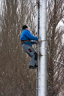 costruttore, costruzione, uomo, rigger, riparatore di campanili, lavoratore, lavoro, albero, pianta, una persona, persone reali, lunghezza intera, uomini, natura, giorno, abbigliamento casual, stili di vita, tronco d'albero, tronco, albero nudo, all'aperto, attività di svago, maschi, equilibrio, terra, ragazzi, 2K, CC0, dominio pubblico, privo di copyright